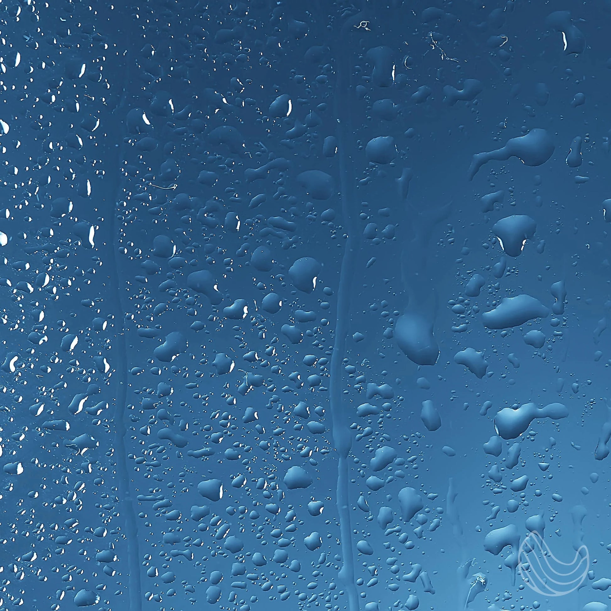 Shower Spray 100% Eucalyptus Oil